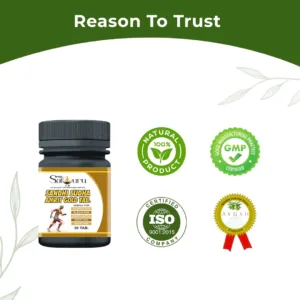 sandhi sudha amrit gold tablet