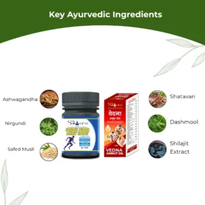 Sandhi Sudha Amrit Pain Relief Combo